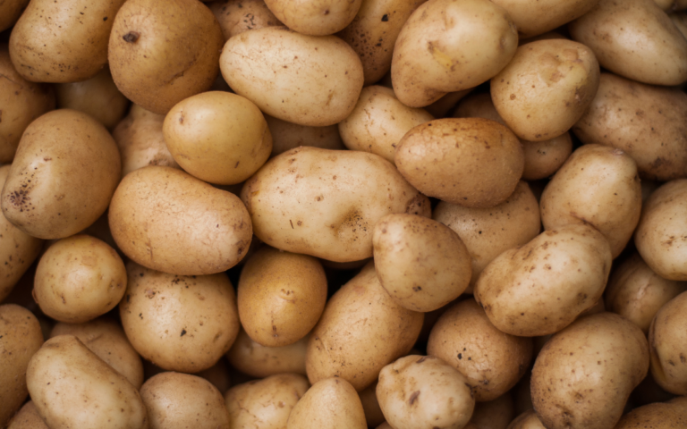 My project 1 1 2 768x480