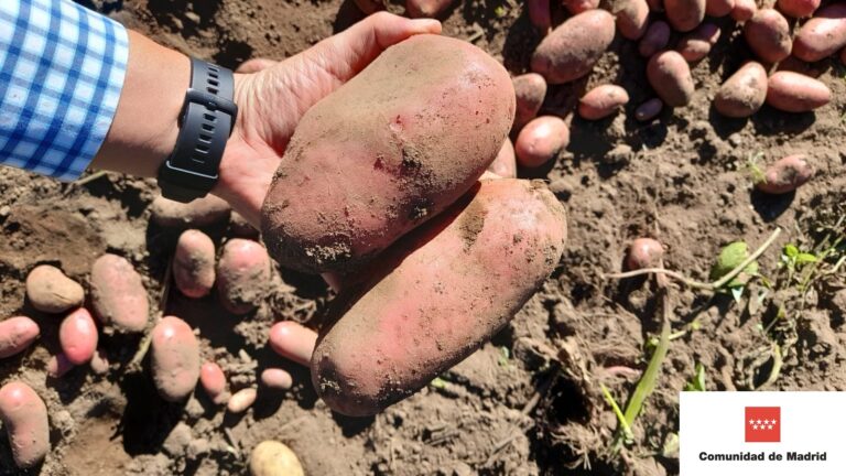 0.1 portada 1 768x432