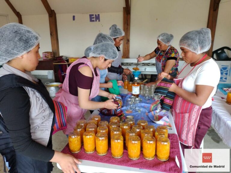 4. 980x735 1 768x576