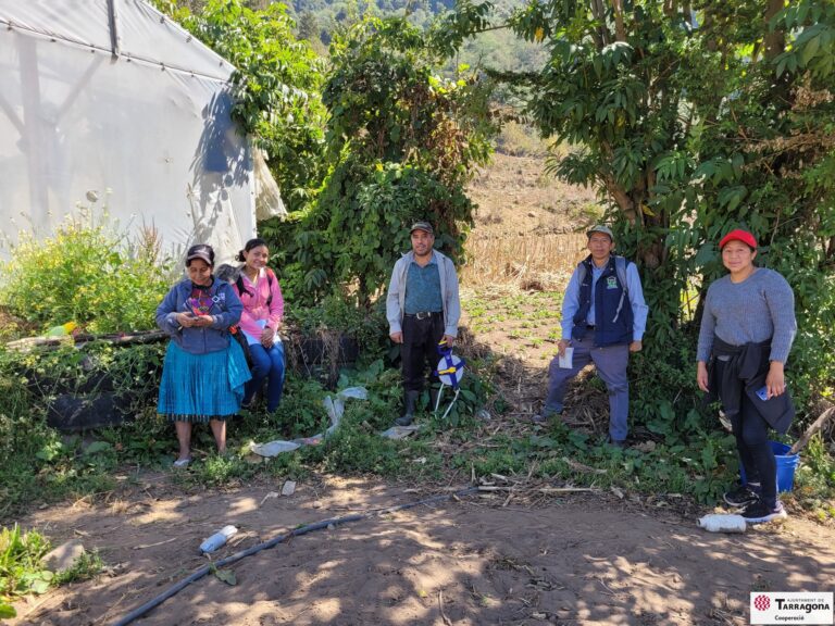 403698672 681817757424356 3890458215711277811 n 768x576