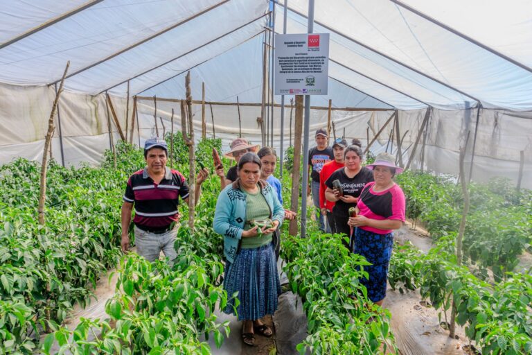 407416841 687084060231059 2763941972864860009 n 768x512