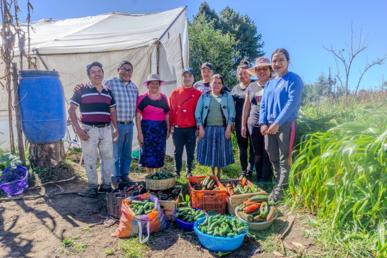 407903026 687086366897495 3602725827751444185 n 768x512